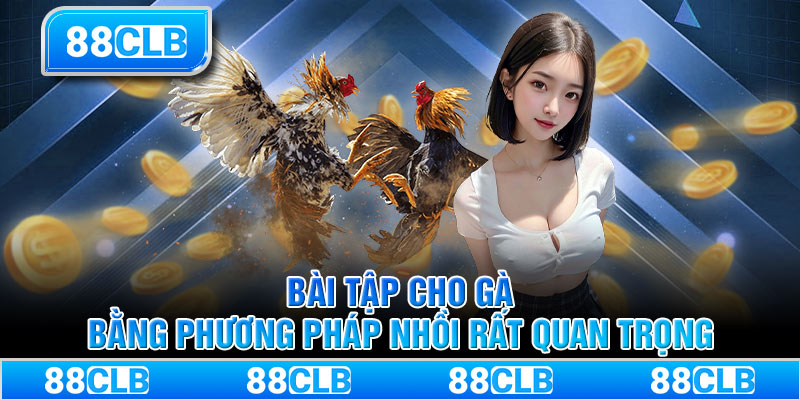 Bài tập cho gà bằng phương pháp nhồi rất quan trọng