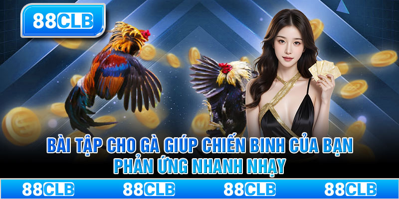 Bài tập cho gà giúp chiến binh của bạn phản ứng nhanh nhạy