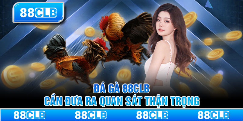 Đá gà 88CLB cần đưa ra quan sát thận trọng