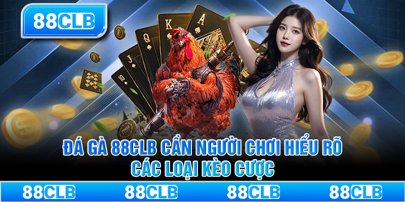 Đá gà 88CLB cần người chơi hiểu rõ các loại kèo cược