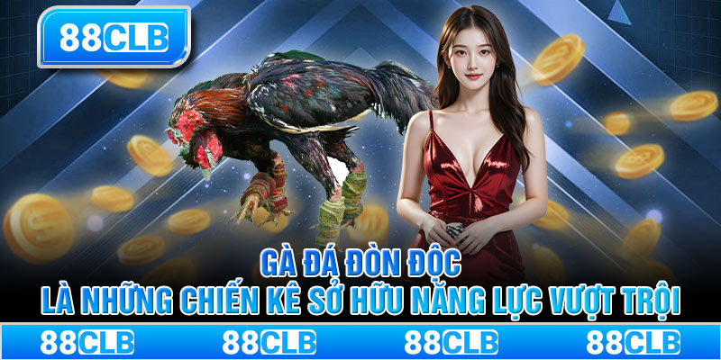 Gà đá đòn độc là những chiến kê sở hữu năng lực vượt trội